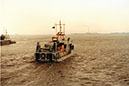 1_FLUNDER_1979_20