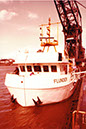 1_FLUNDER_1979_04