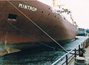 3_MINTROP_Foto_14