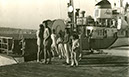 29_Prospekta_an_der_Pier