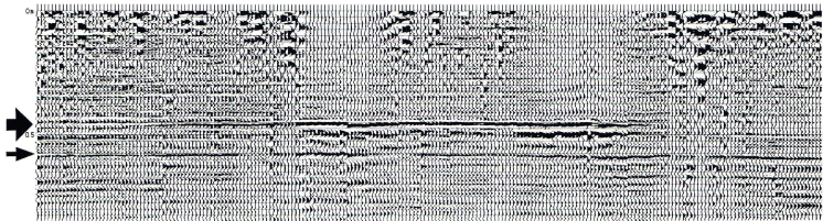 Abb.l